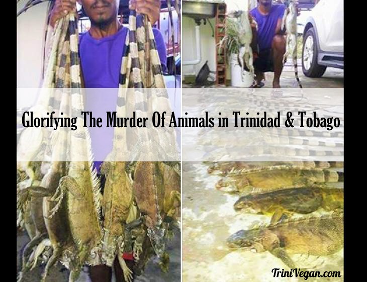 Glorifying The Murder Of Animals in Trinidad And Tobago