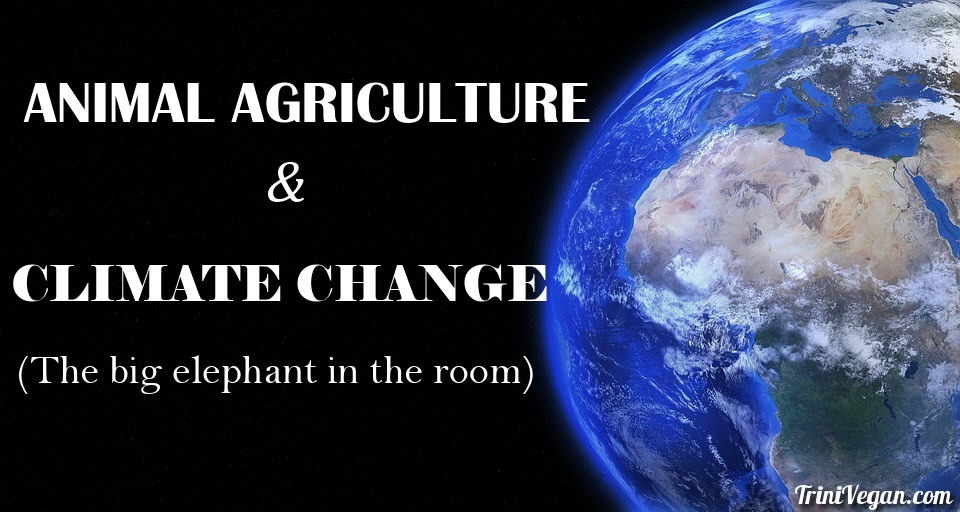 Animal Agriculture And Climate Change