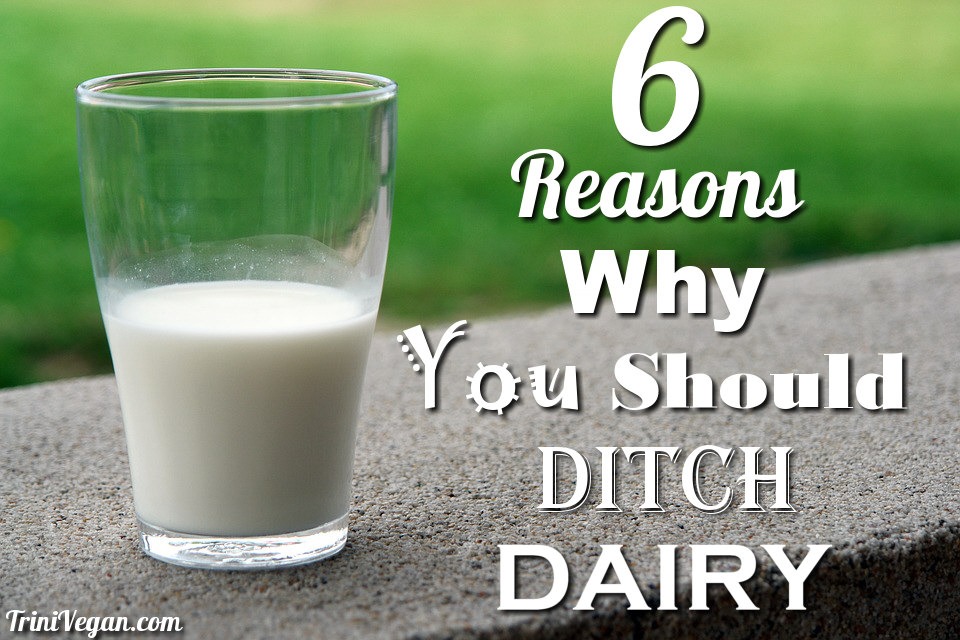 6 Reasons Why You Should Ditch Dairy